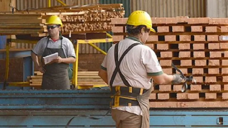 La industria maderera sufre una crisis "sin precedentes"
