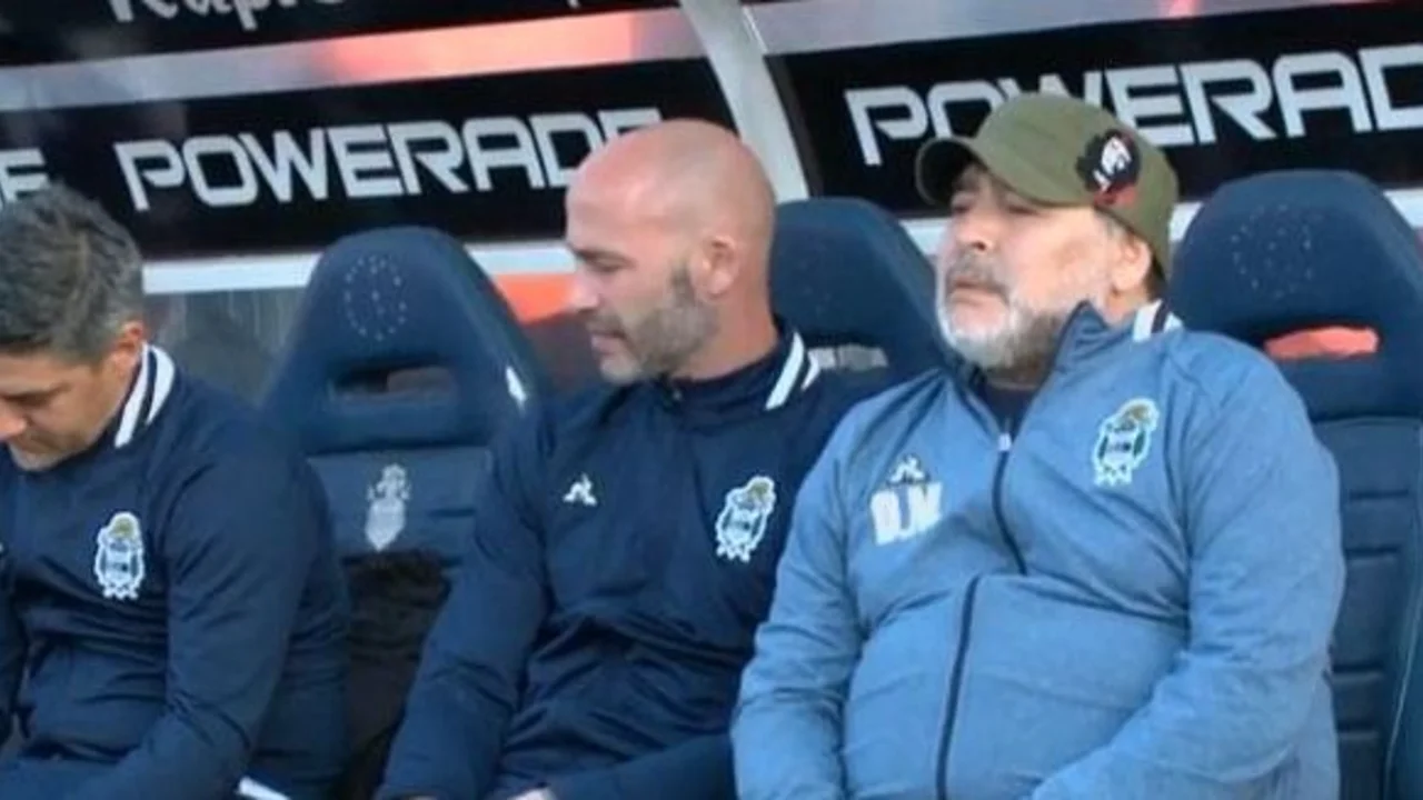 Mirá en vivo la Diego Cam: seguí a Maradona en el partido entre Gimnasia de La Plata y Patronato