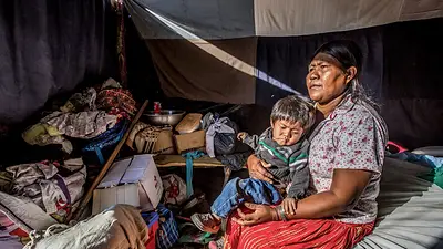Mapa de la doble desnutrición infantil en Argentina: el Norte y la Patagonia, los más afectados Mapa de la doble desnutrición infantil en Argentina: el Norte y la Patagonia, los más afectados