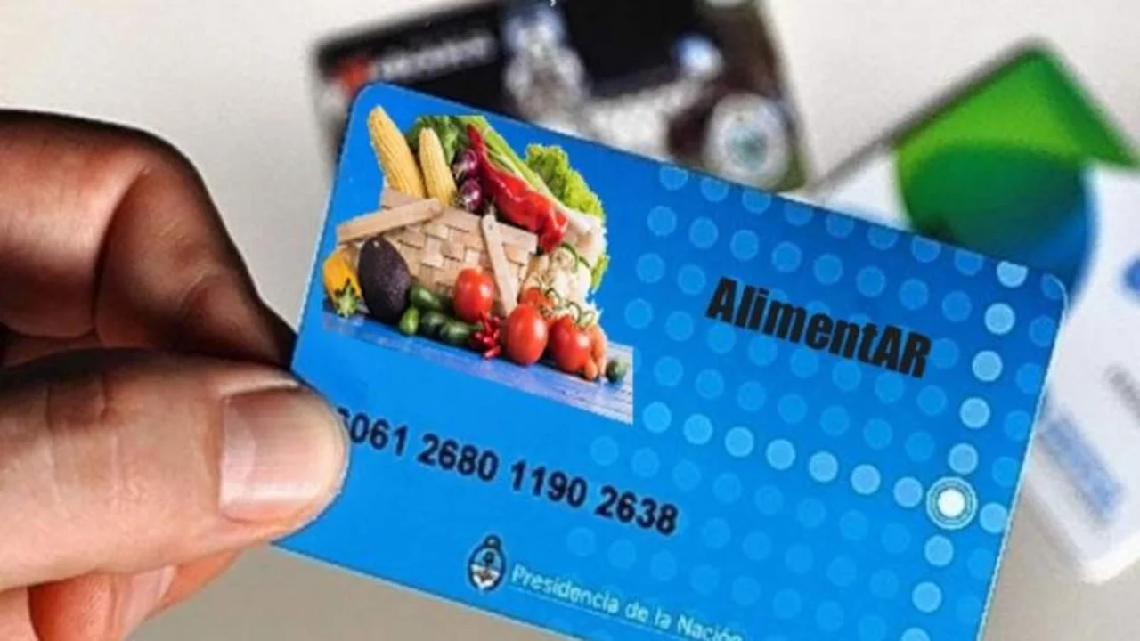 ANSES: cómo consultar si ya está disponible tu Tarjeta Alimentaria