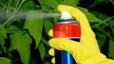 La Anmat exigió el "retiro" de insecticidas Raid y Fuyí