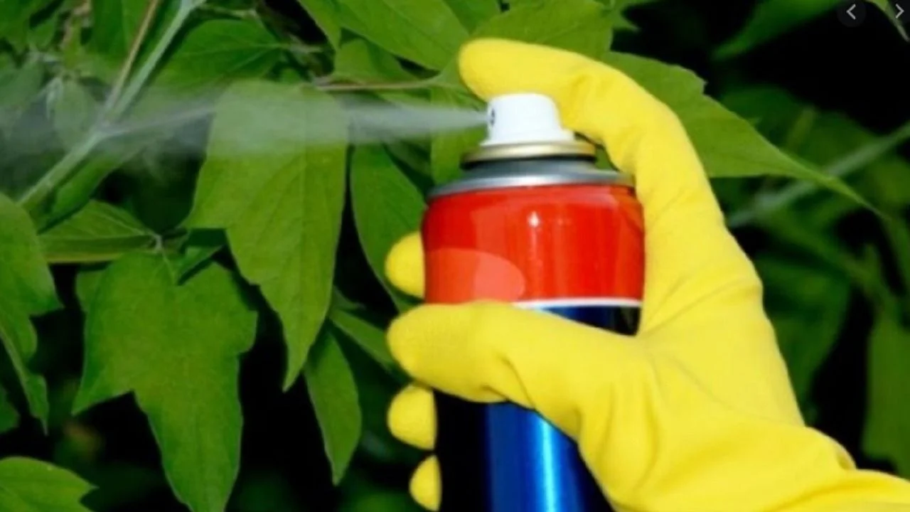 La Anmat exigió el "retiro preventivo" de insecticidas Raid y Fuyí