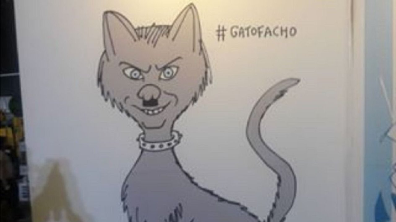 Estallaron los memes de Mauricio Macri en el Día Internacional del Gato