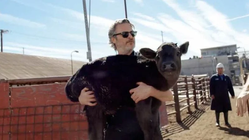 Joaquin Phoenix protagonizó un emotivo rescate a una vaca y a su cría de un matadero
