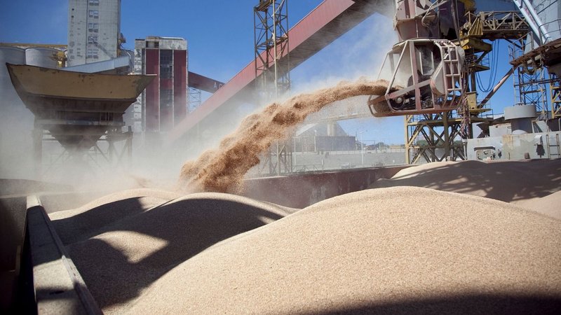 Ley de biocombustibles: las claves del proyecto que impulsa el Gobierno