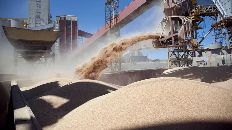 Ley de biocombustibles: las claves del proyecto que impulsa el Gobierno
