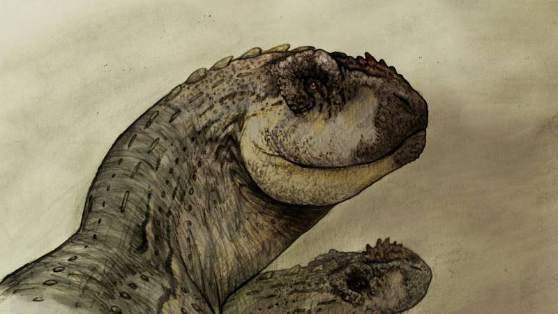 Reproducción artística de Niebla Antiqua