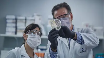 La Revista Nature destacó el trabajo de los científicos argentinos durante la pandemia contra el coronavirus La Revista Nature destacó el trabajo de los científicos argentinos durante la pandemia contra el coronavirus