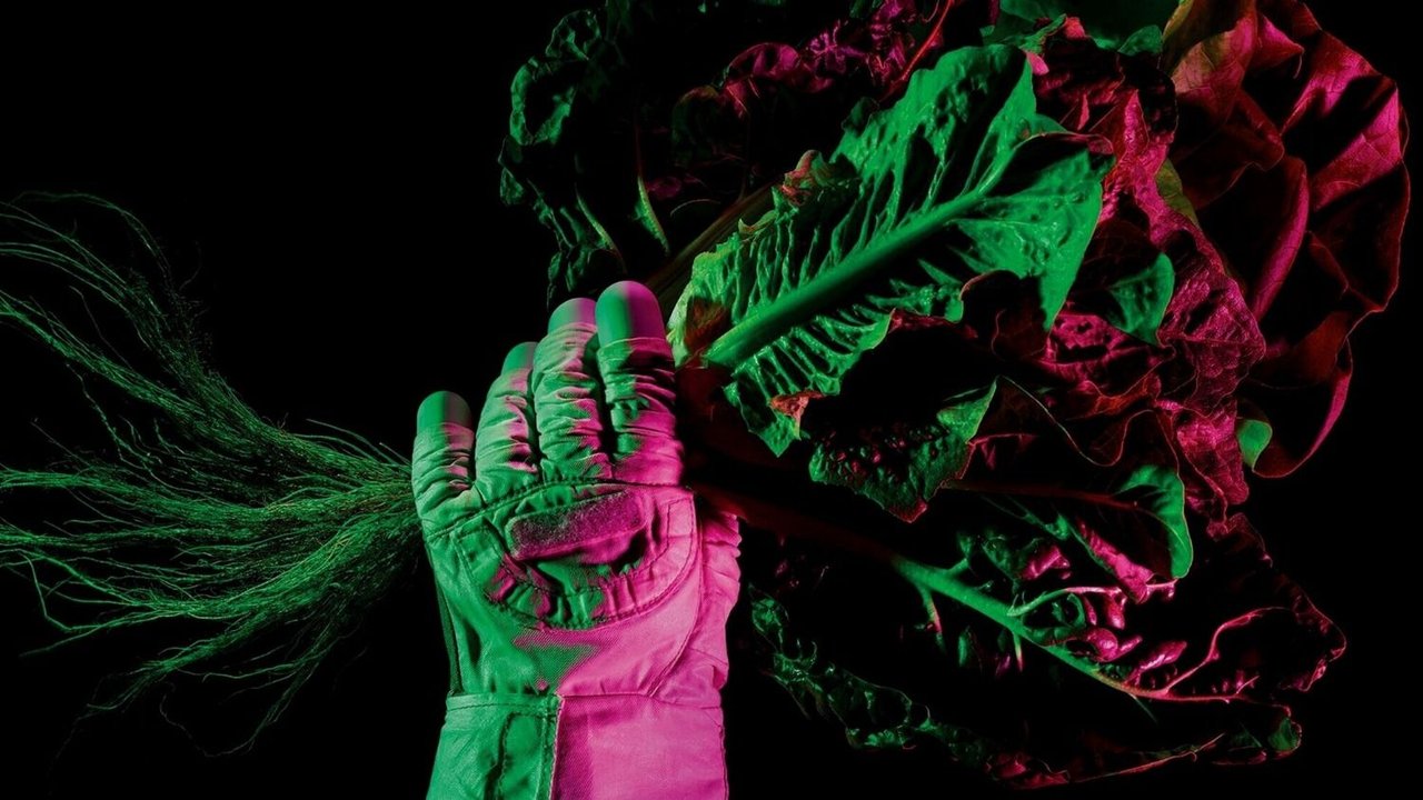 NASA: ofrecen medio millón de dólares a quien aporte ideas para cultivar alimentos en el espacio
