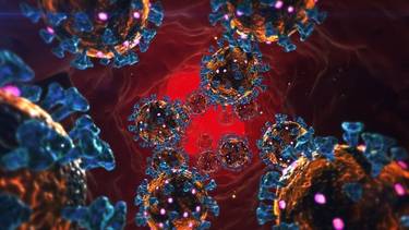El anticuerpo que podría ser el "talón de Aquiles" del coronavirus