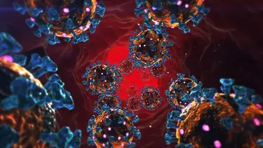 El anticuerpo que podría ser el "talón de Aquiles" del coronavirus