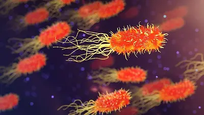 Increíble descubrimiento: bacterias que pueden sellar grietas en las paredes de hormigón Increíble descubrimiento: bacterias que pueden sellar grietas en las paredes de hormigón