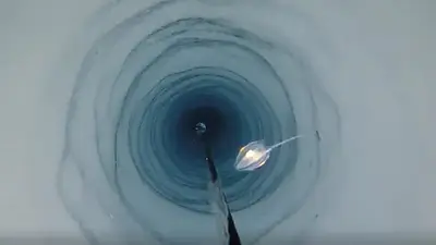 Extraño descubrimiento en la Antártida Extraño descubrimiento en la Antártida
