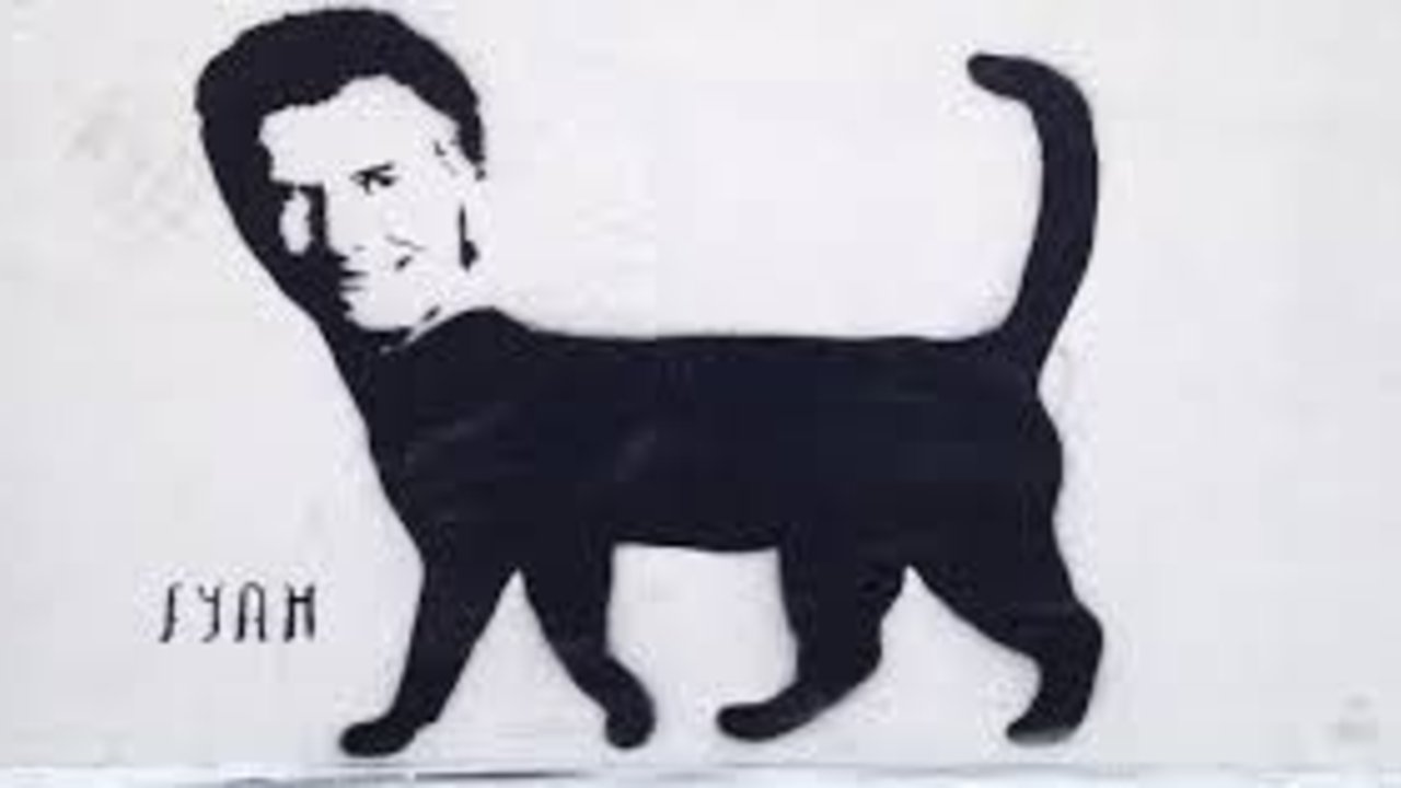 Día del Gato Macri Gato
