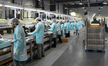 Mejoró la capacidad instalada pero siguen las dudas sobre la creación de empleo | Industria