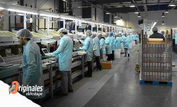 Pymes, en alerta: actividad industrial acumula un derrumbe del 13% en nueve meses | Industria