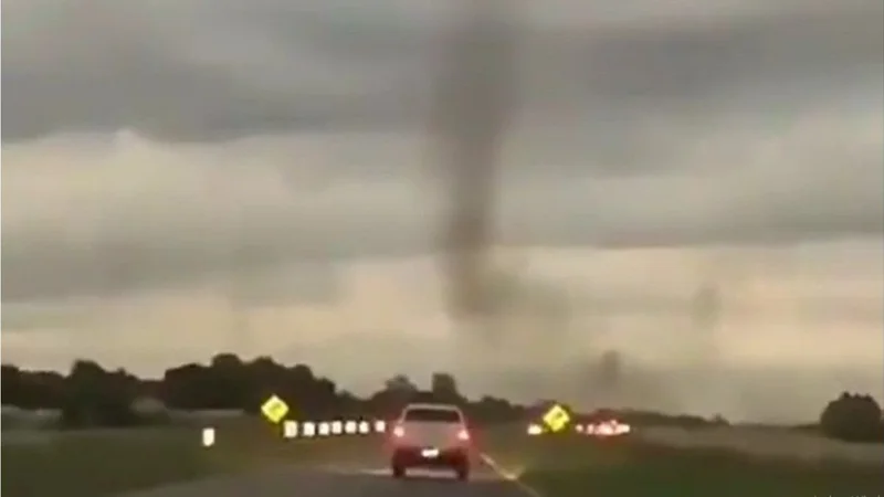 Tornado de mosquitos.