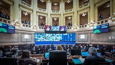 Senado Senado
