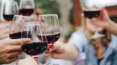 Los 10 mejores tipos de vinos argentinos Los 10 mejores tipos de vinos argentinos