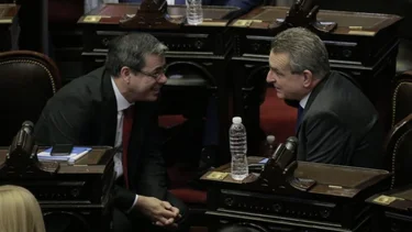 Quién es Germán Martínez, el diputado que reemplazará a Máximo Kirchner