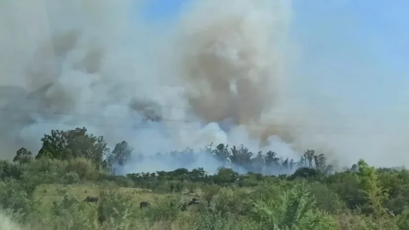 Corrientes declaró el estado de desastre agropecuario por los incendios rurales