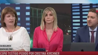 Papelón de Bullrich por la compra de armas: Viale y Plager no repreguntaron Papelón de Bullrich por la compra de armas: Viale y Plager no repreguntaron