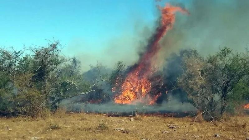 Corrientes: el Gobierno puso en marcha un comando para combatir los incendios