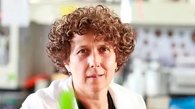 Mujeres en la ciencia: las científicas argentinas que cambian el curso de la historia Mujeres en la ciencia: las científicas argentinas que cambian el curso de la historia