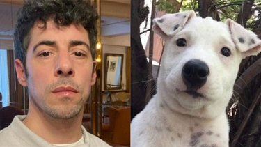 Furor por el perro que tiene la cara de Esteban Lamothe