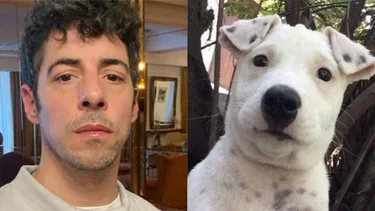 Furor por el perro que tiene la cara de Esteban Lamothe