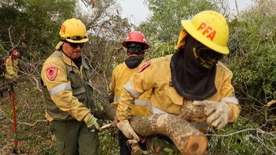 Combaten incendios forestales en Corrientes y Río Negro Combaten incendios forestales en Corrientes y Río Negro