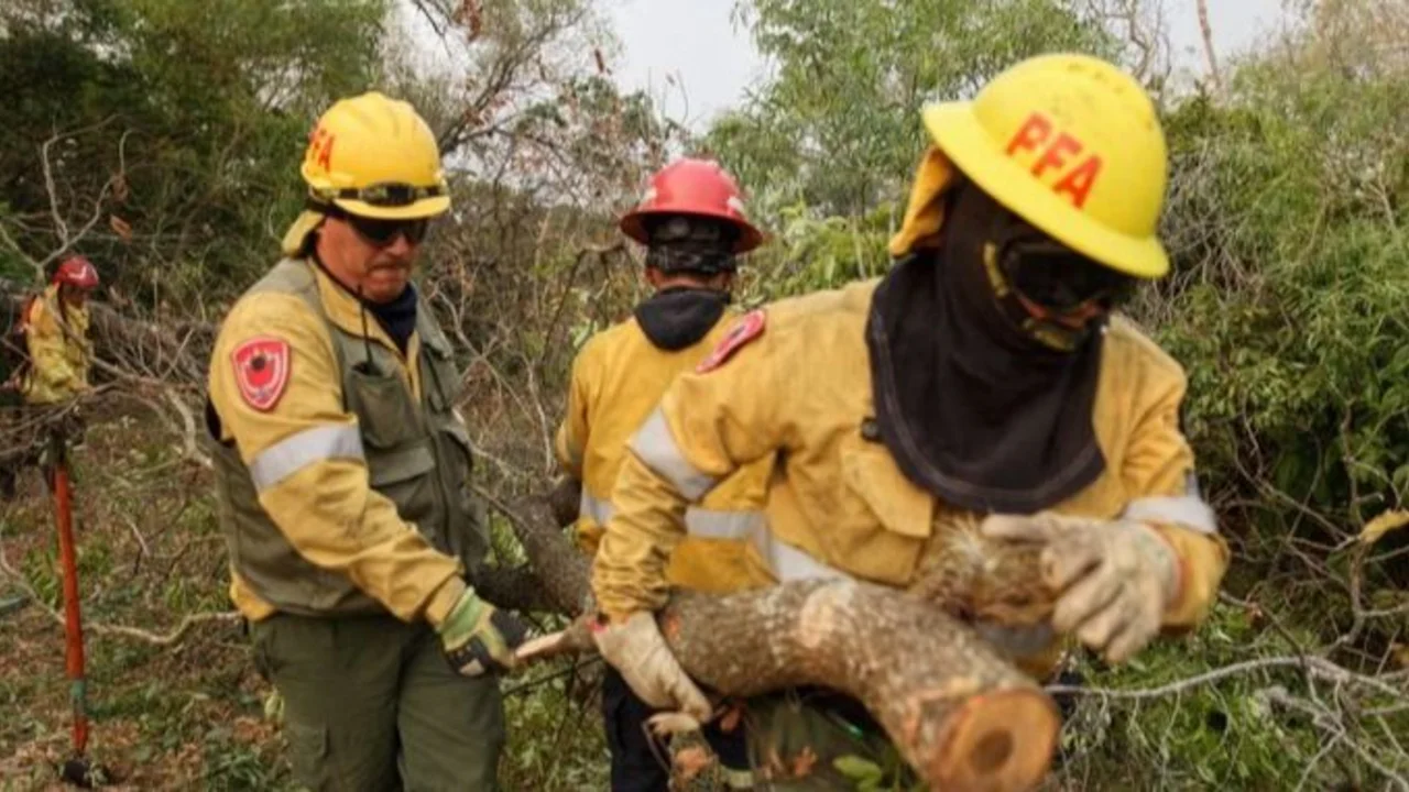Combaten incendios forestales en Corrientes y Río Negro