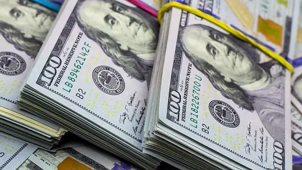 Restricción externa y limitaciones internas de una economía bimonetaria | Dólares