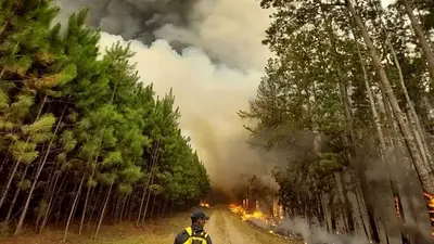 Incendios en Corrientes: todavía hay 20 focos activos Incendios en Corrientes: todavía hay 20 focos activos