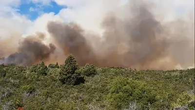 Se desató un voraz incendio en el Parque Nacional Los Alerces Se desató un voraz incendio en el Parque Nacional Los Alerces