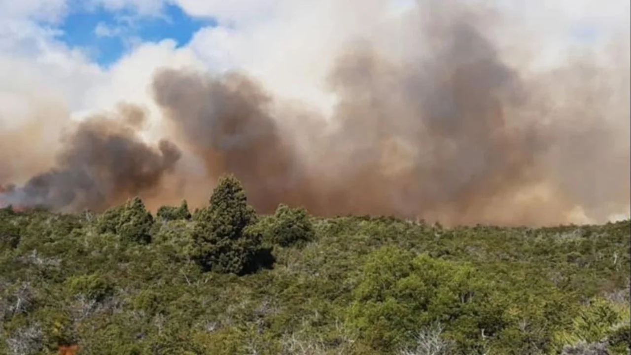 Se desató un voraz incendio en el Parque Nacional Los Alerces