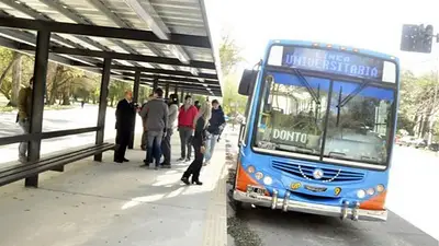 Colectivo Colectivo