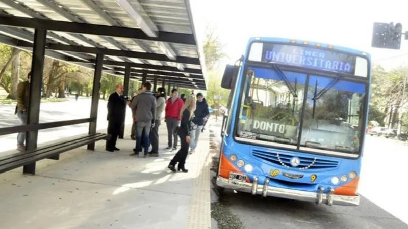 Colectivo