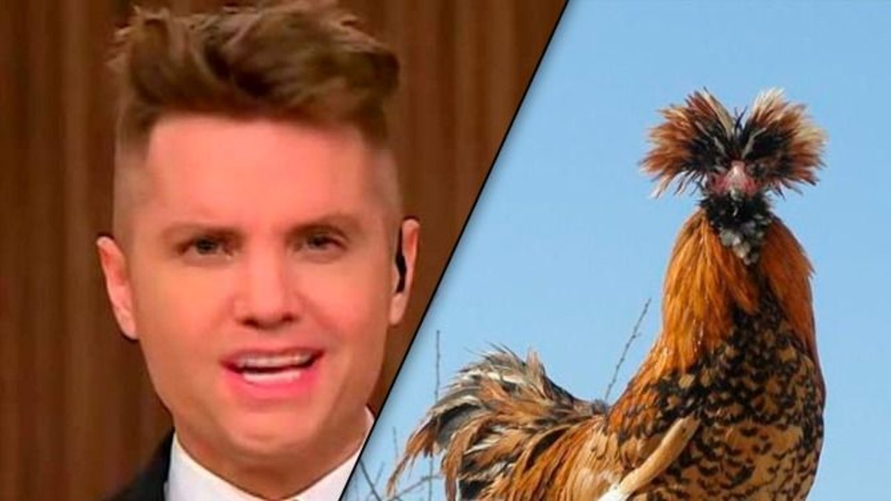 Memes, Santiago del Moro, MasterChef Celebrity, televisión, Telefe, redes sociales