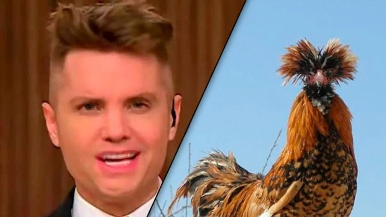 Memes, Santiago del Moro, MasterChef Celebrity, televisión, Telefe, redes sociales