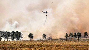Bolivia aprueba misión de ayuda para ayudar con los incendios en Argentina