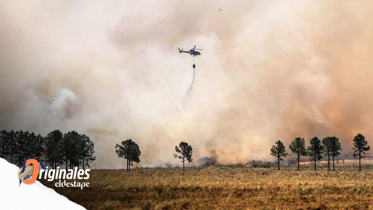 Incendios en Corrientes: abrieron más de 70 causas por denuncias de incendios intencionales