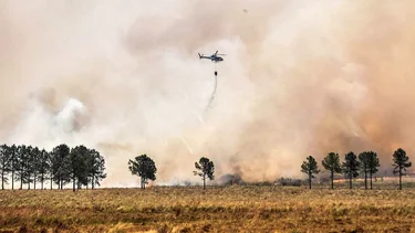 Bolivia aprueba misión de ayuda para ayudar con los incendios en Argentina