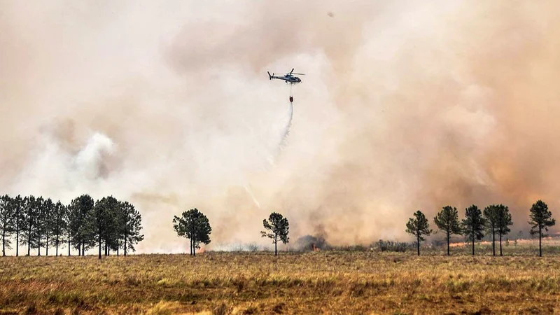 Bolivia aprueba misión de ayuda para ayudar con los incendios en Argentina