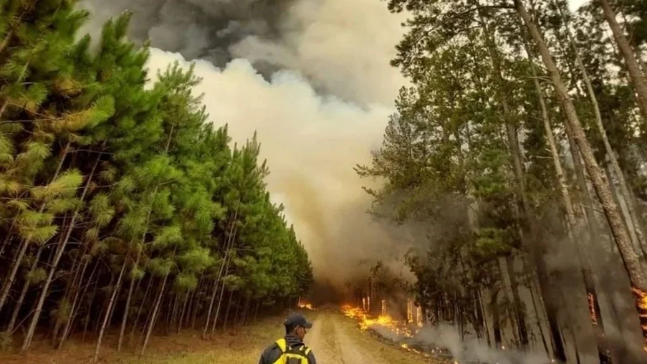 Alivio fiscal de la AFIP para afectados por incendios en Corrientes y Misiones