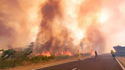 Incendios en Corrientes: se quemaron más de un millón de hectáreas Incendios en Corrientes: se quemaron más de un millón de hectáreas