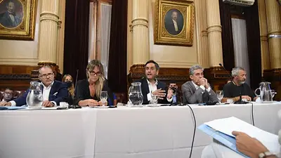 Cabandié, en el Senado: cruces, defensa de gestión y el desfinanciamiento de Macri Cabandié, en el Senado: cruces, defensa de gestión y el desfinanciamiento de Macri