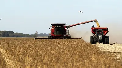 Retenciones: sube 2% para subproductos de soja y reabren registro de exportaciones de trigo Retenciones: sube 2% para subproductos de soja y reabren registro de exportaciones de trigo