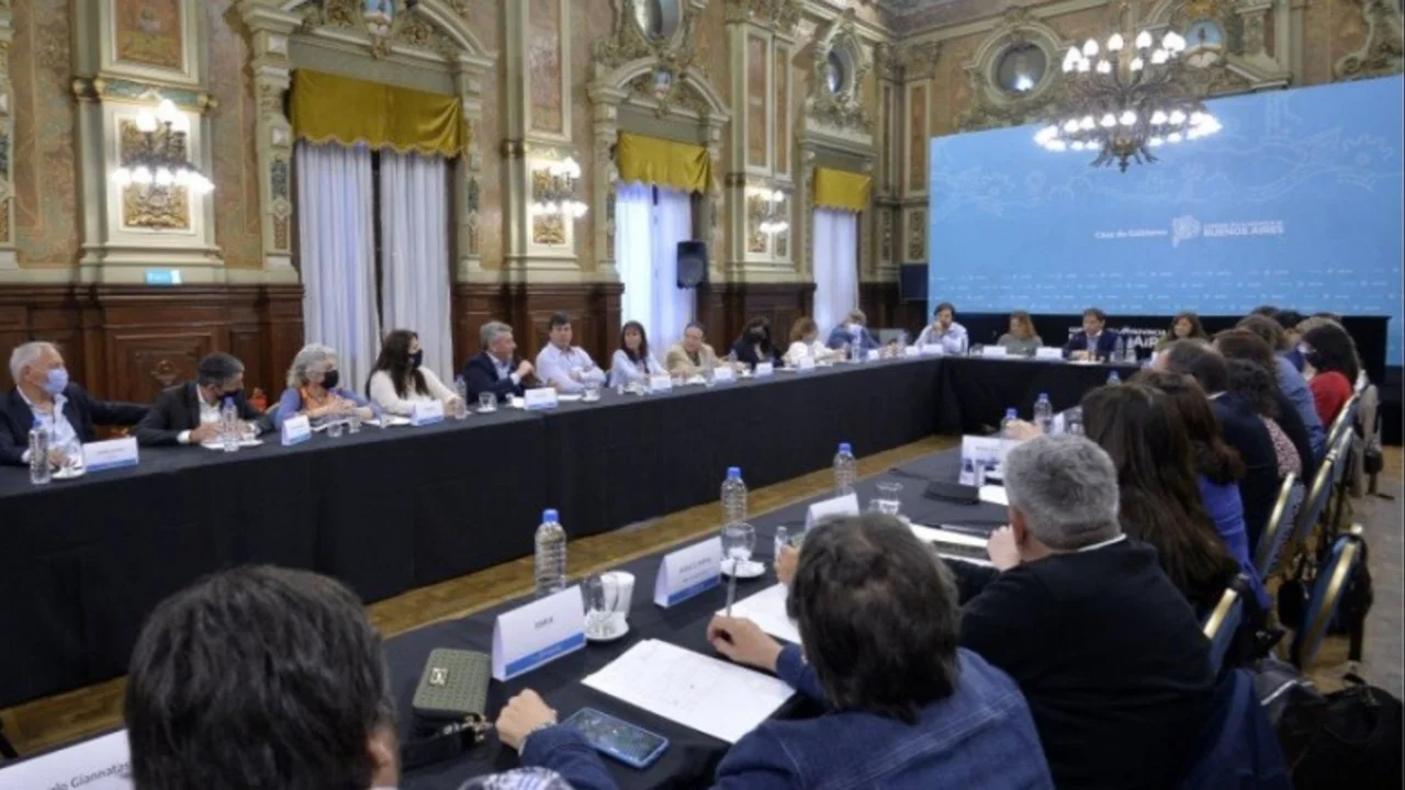 Docentes