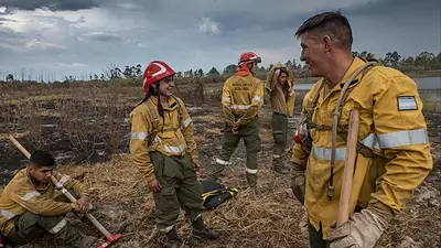 Cómo siguen los incendios en todo el país: cuántos siguen activos Cómo siguen los incendios en todo el país: cuántos siguen activos